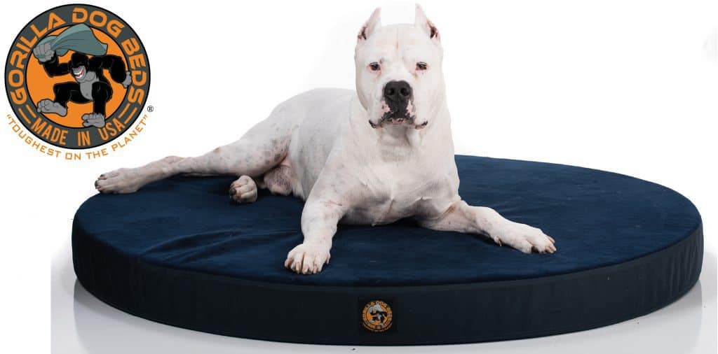 dog beds on sale