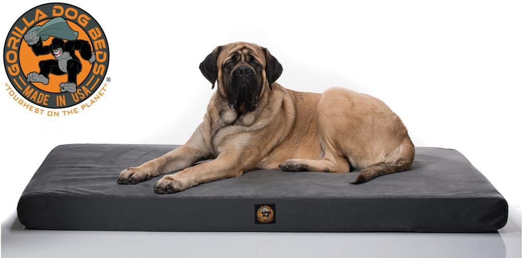 xlarge outdoor dog bed