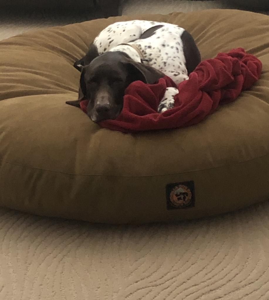 Image #1 from Andrea Smith