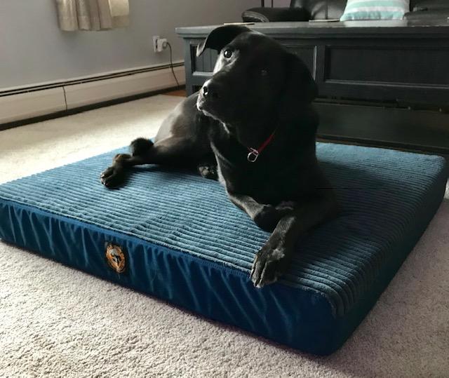 Image #1 from Audrey Colletti