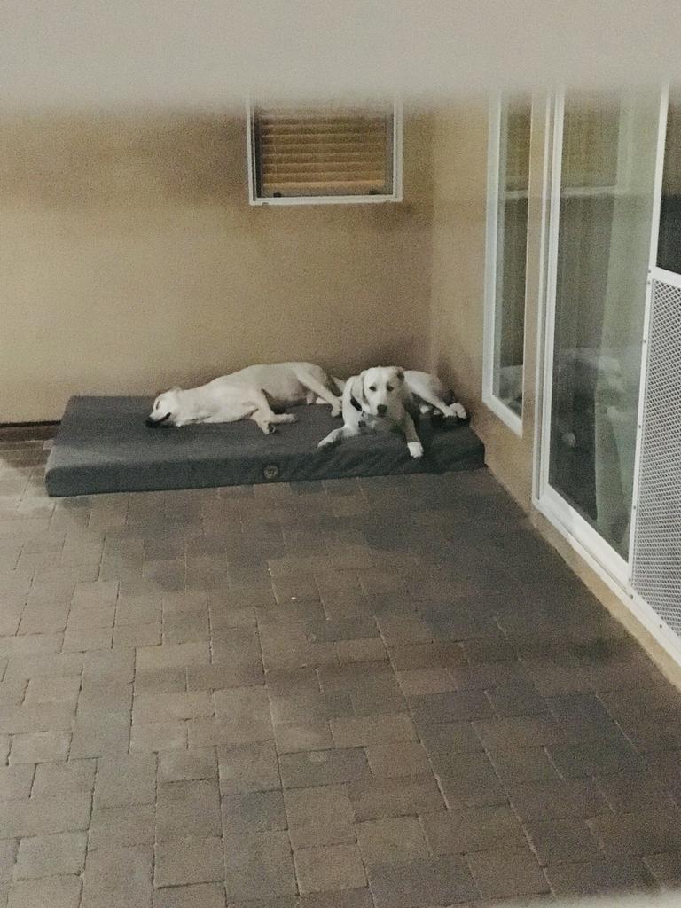 Image #1 from Liliana Onsurez