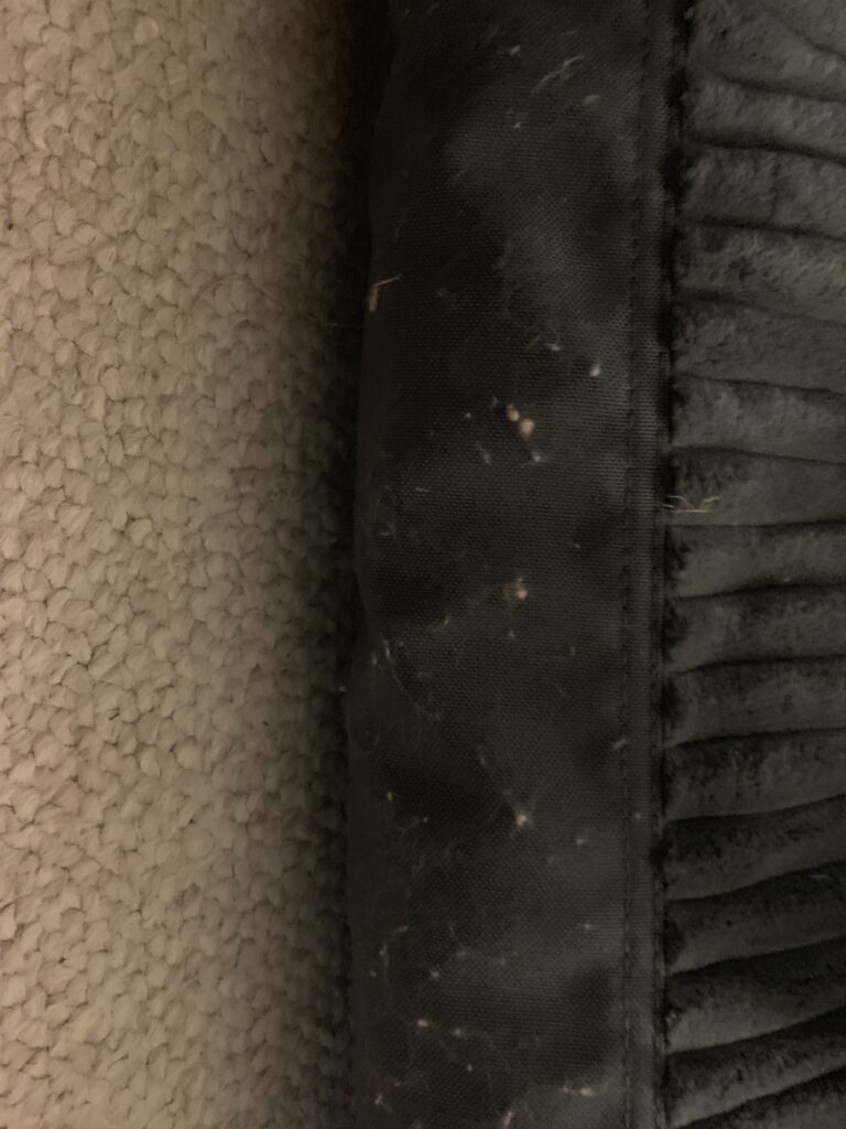 Image #1 from Joe Zagerman