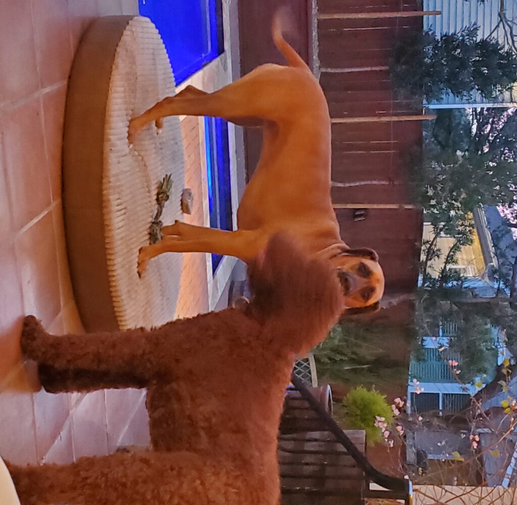 Image #1 from Ori Goldberg