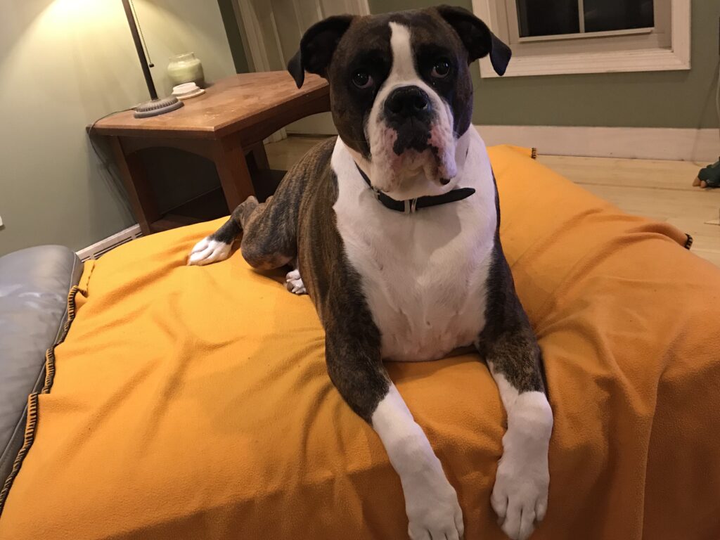 Image #1 from Sthpaw30