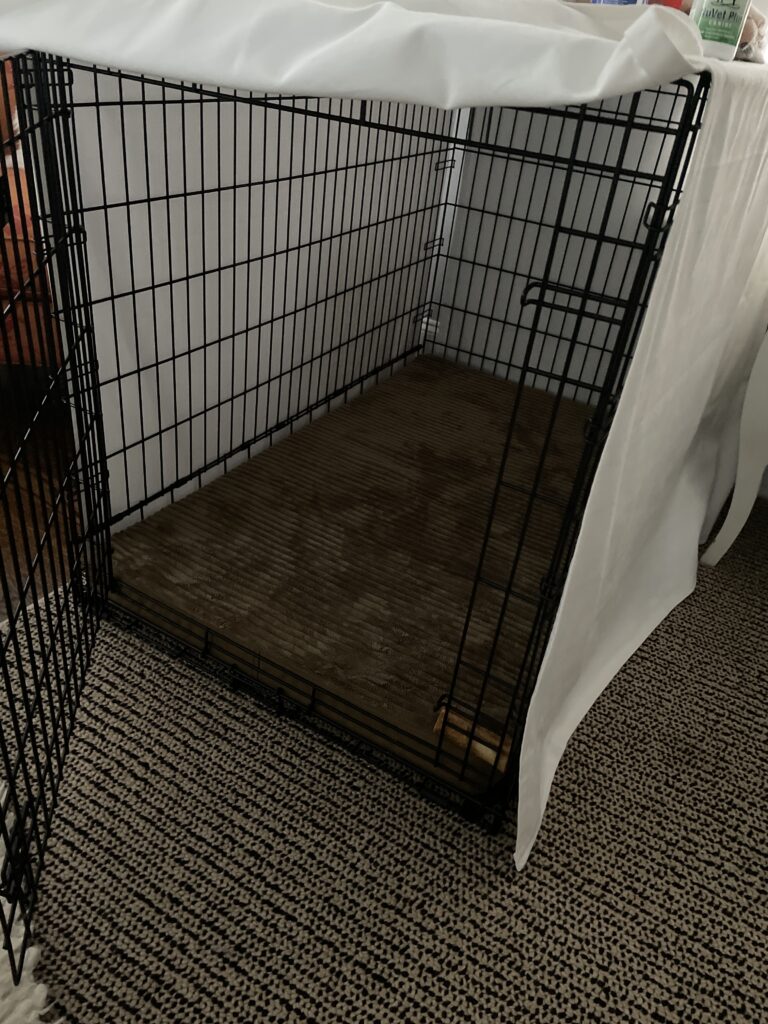 Image #1 from Alice Bender