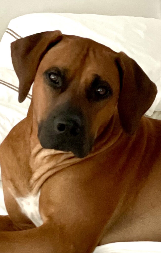 Image #2 from Alice Bender