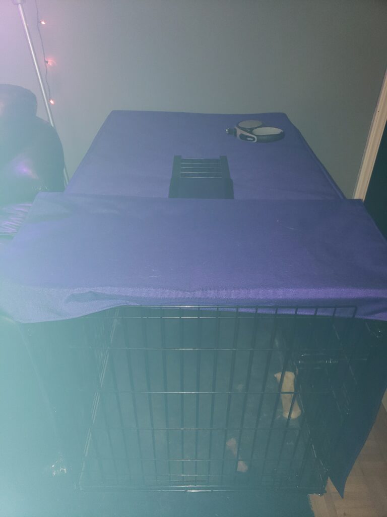 Image #1 from Jalesa McRavion