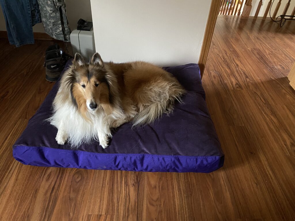 Image #1 from Steven Ianson