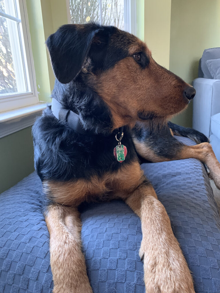 Image #1 from Bonnie Derro