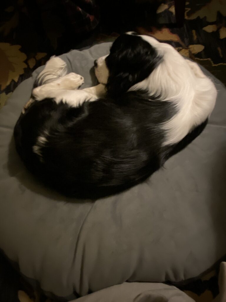 Image #1 from Gretchen