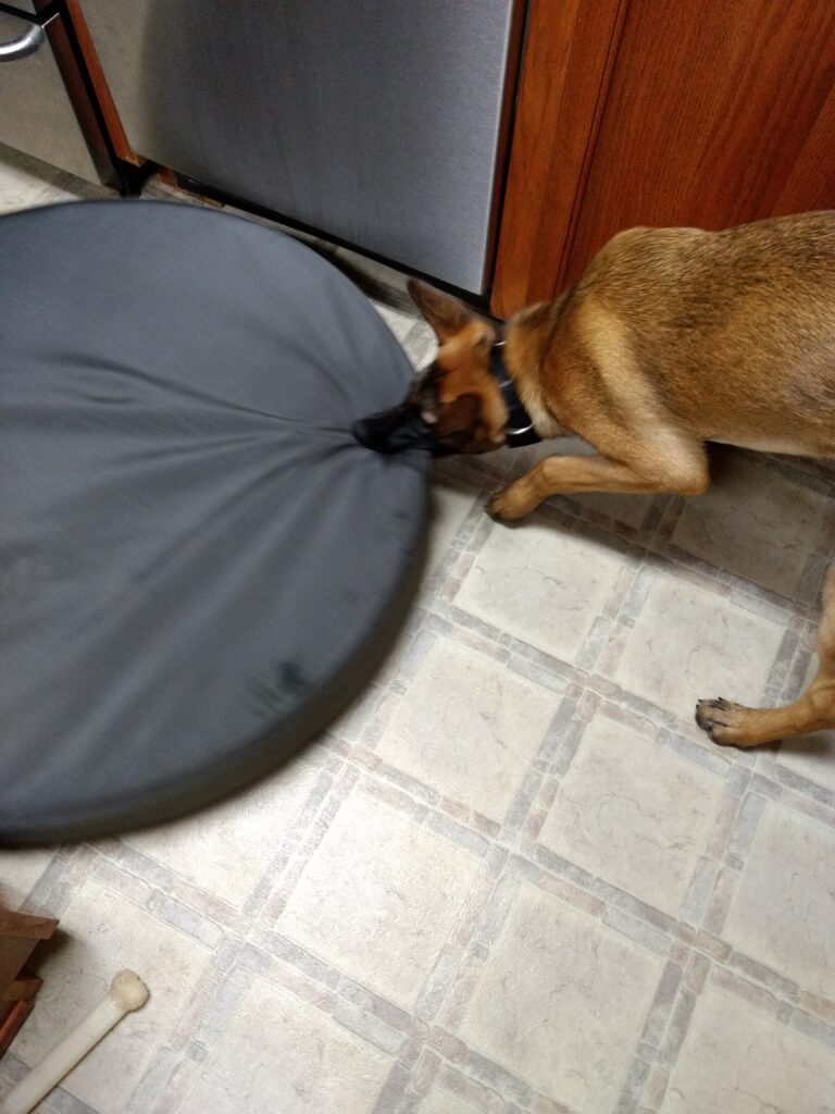 Image #1 from David C.