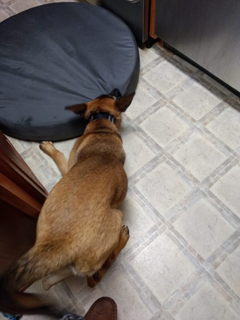 Image #2 from David C.