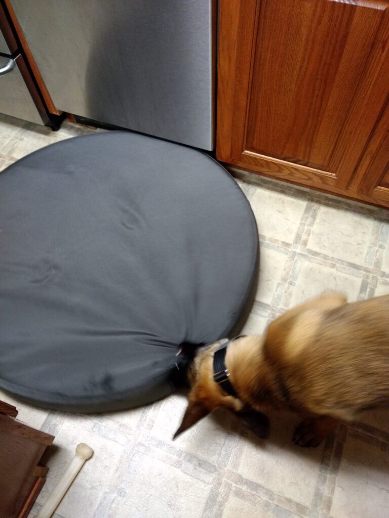 Image #4 from David C.