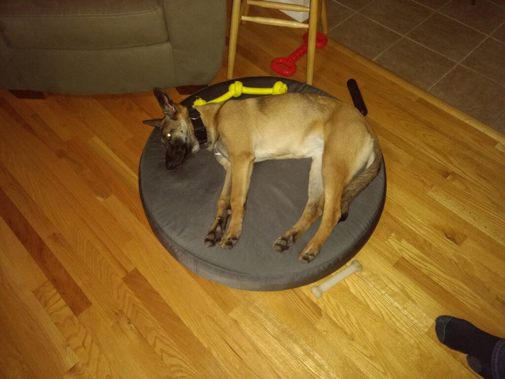 Image #3 from David C.