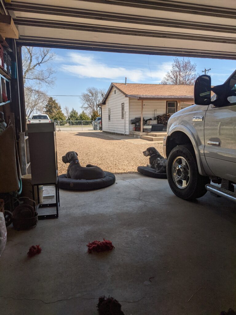 Image #1 from Michael Trumpp