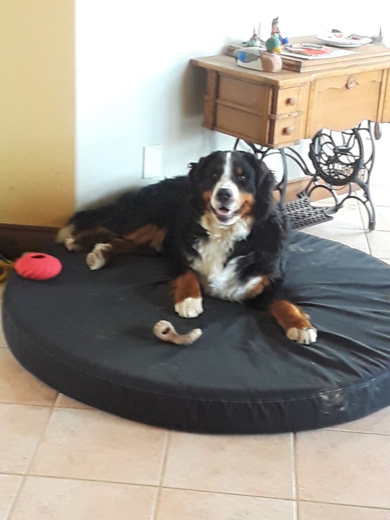 Image #1 from Satisfied Customer in Idaho