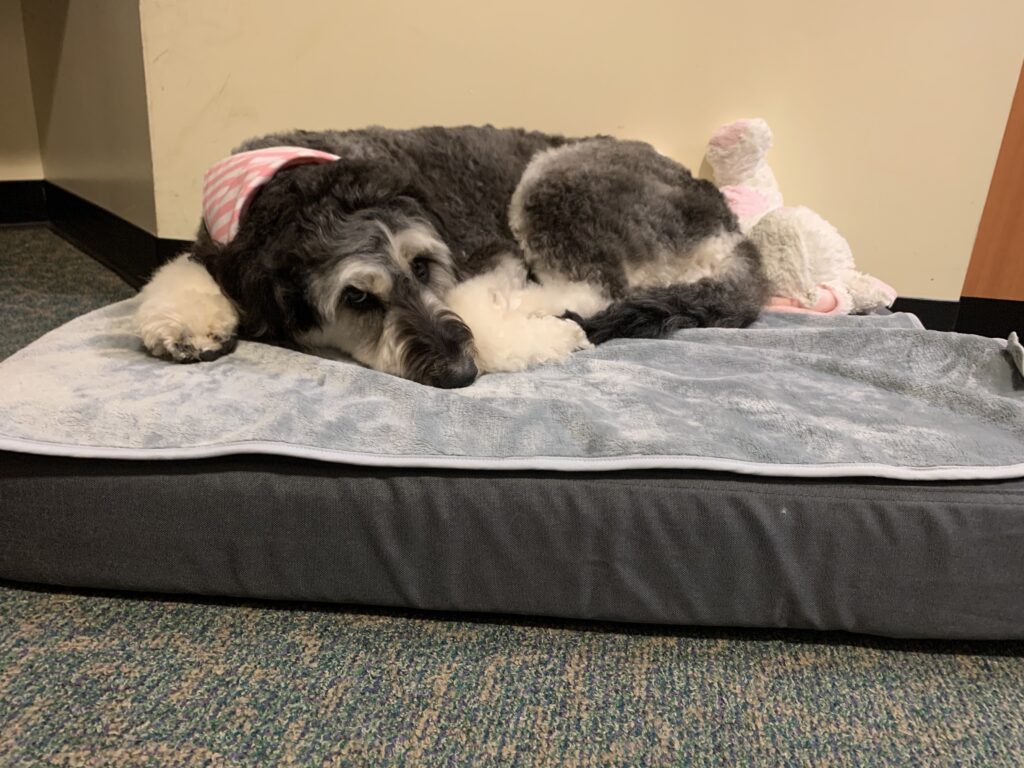 Image #1 from Barbara M