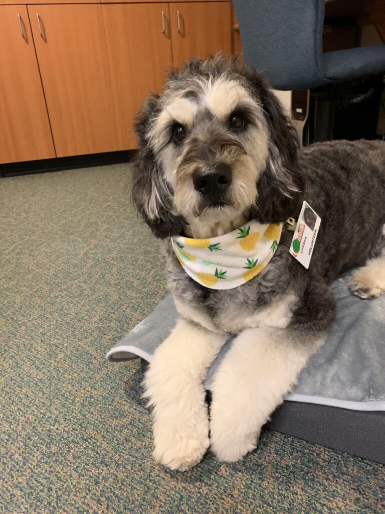 Image #2 from Barbara M