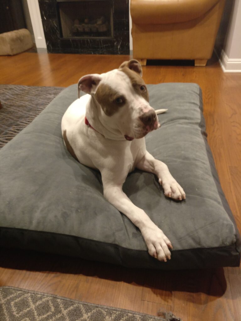 Image #1 from Lisa Helma