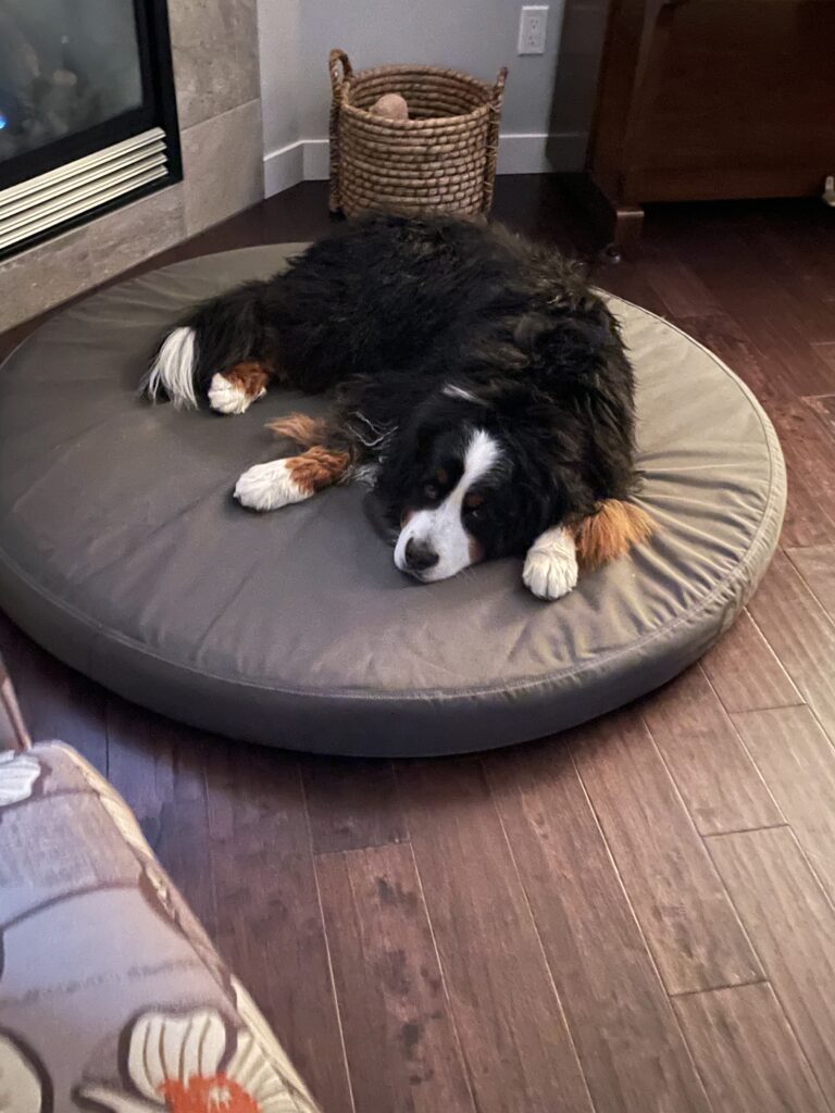 Image #2 from Michelle Filan