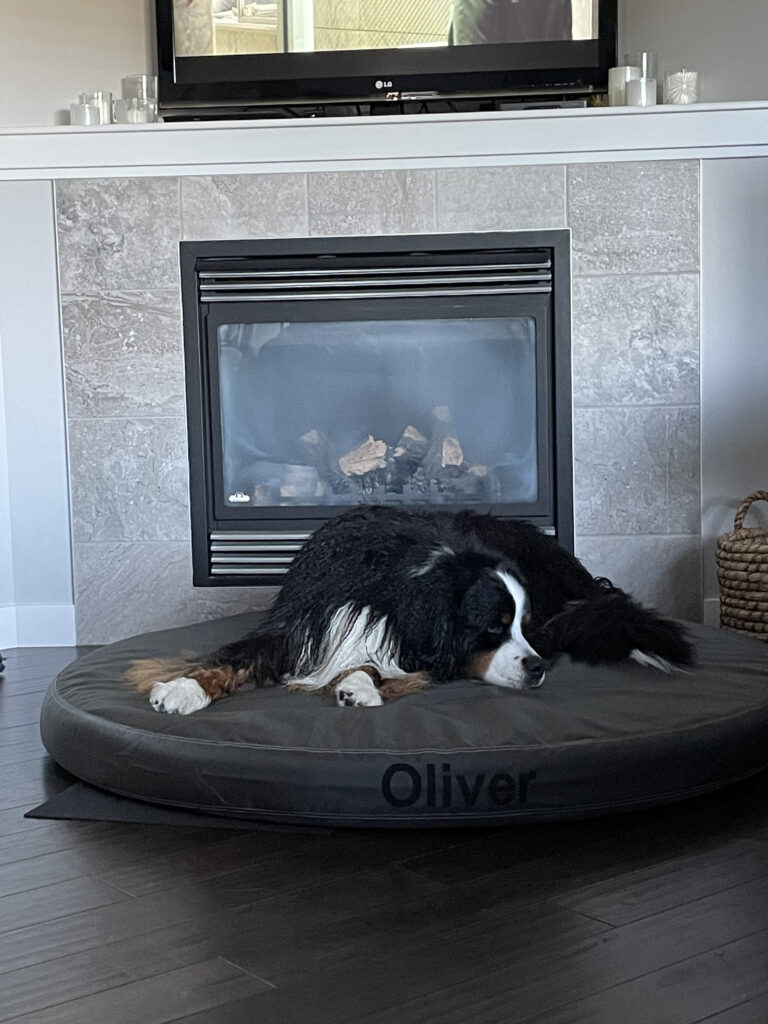 Image #1 from Michelle Filan