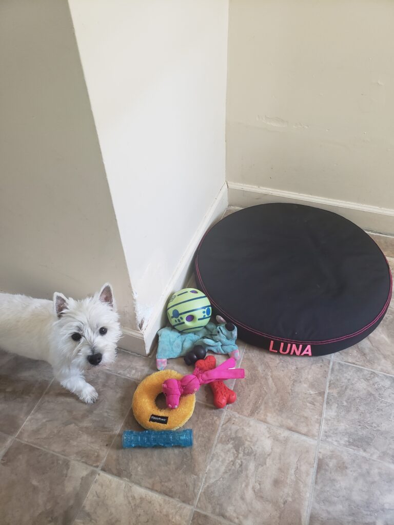 Image #1 from Tavia Vives