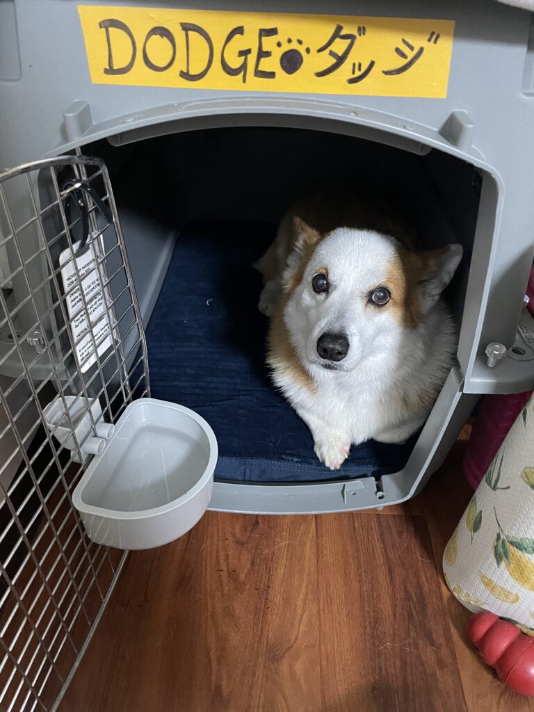 Image #1 from Jessica Jones