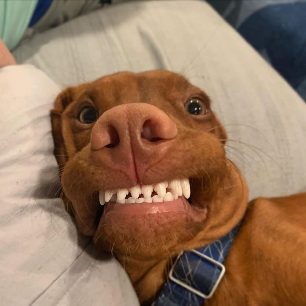 Image #1 from Jeff Hill