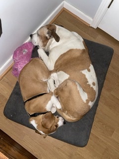 Image #1 from Kayce Scott