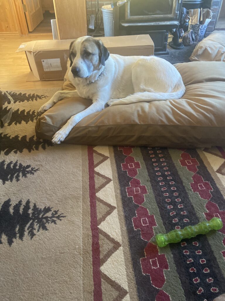 Image #1 from Jeff Inskeep