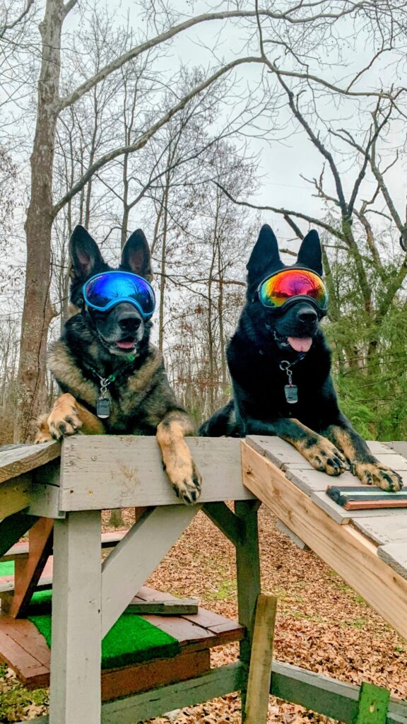 Image #1 from Brian Adams