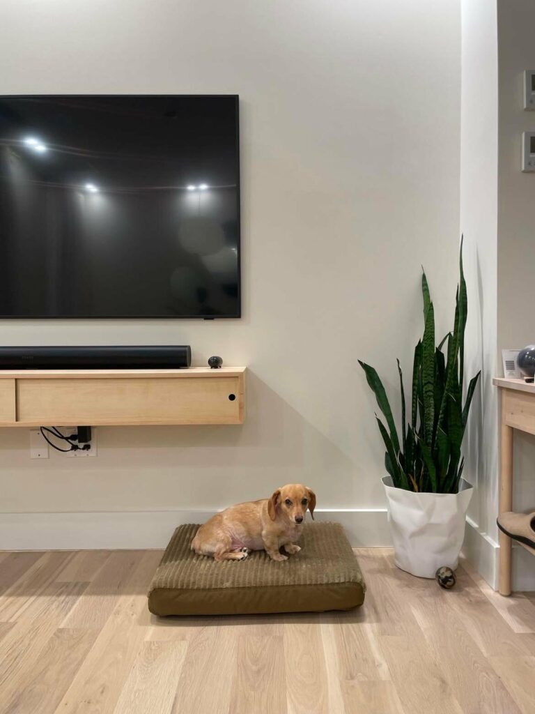 Image #1 from Dorahan Arapgirioglu