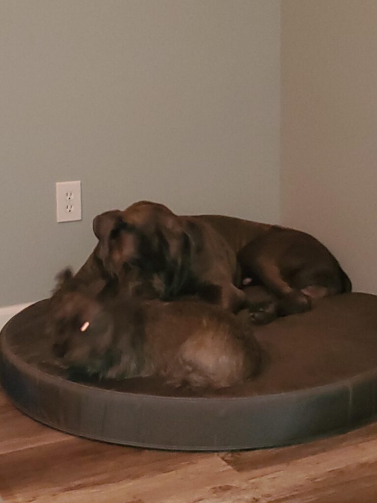 Image #1 from Gene Vega