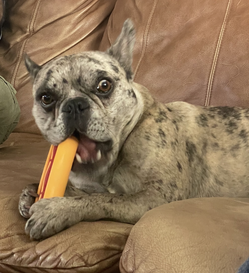 Image #1 from Mr.Thirteen