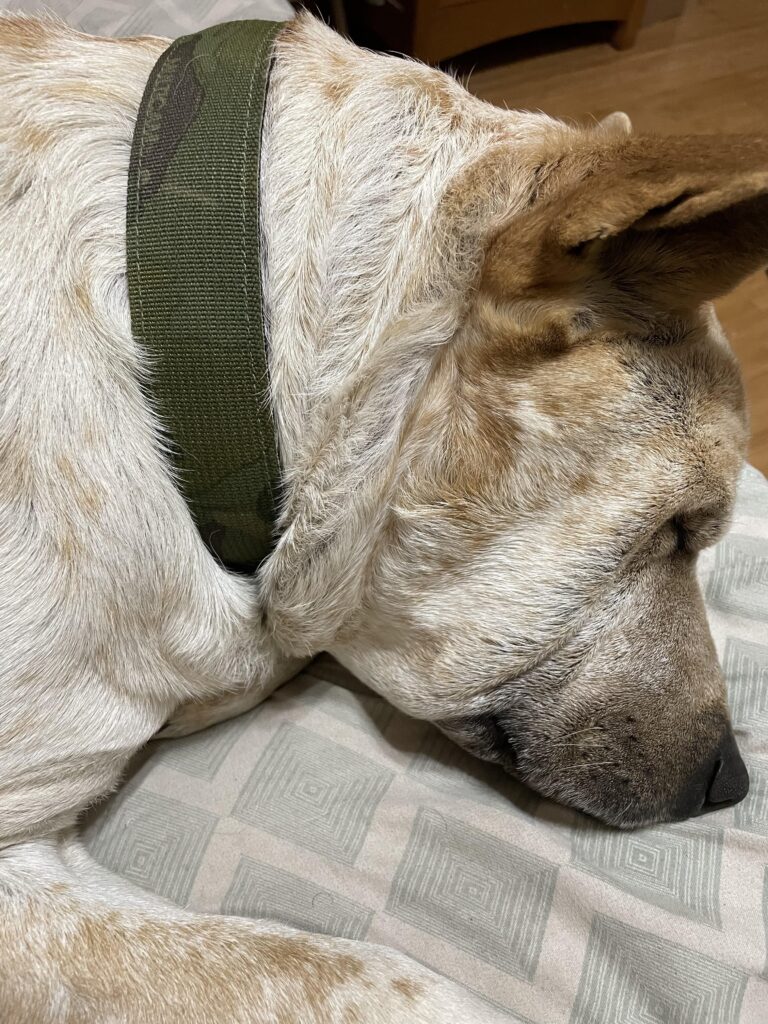 Image #1 from Anthony Granato