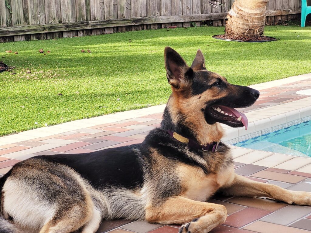 Image #1 from Larisa Sito