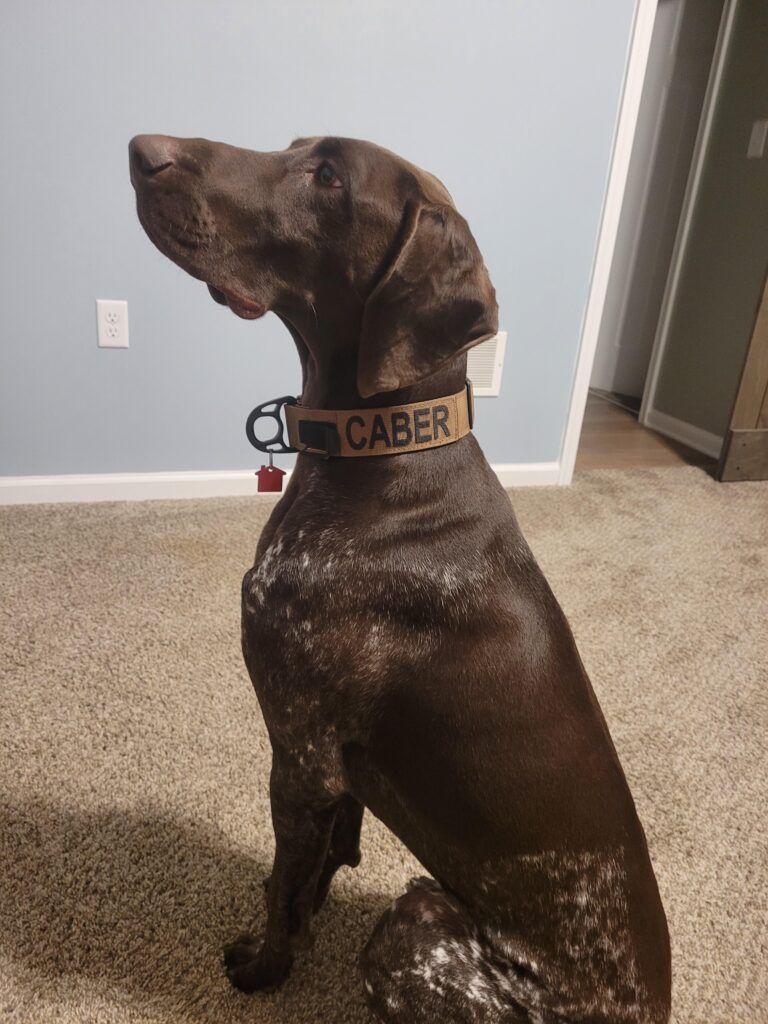 Image #1 from Marie Soper