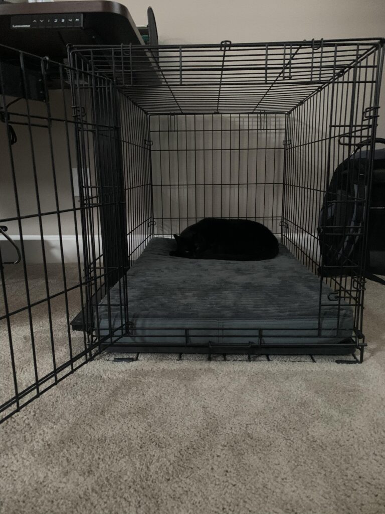 Image #1 from Shaina