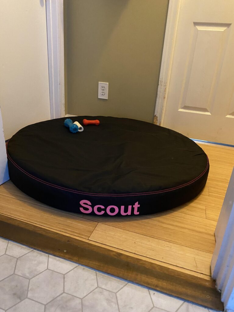 Image #1 from Jodie Cockrell