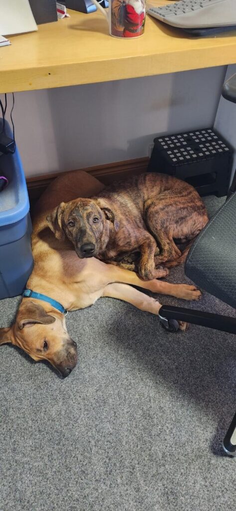 Image #3 from Cassandra Comeau