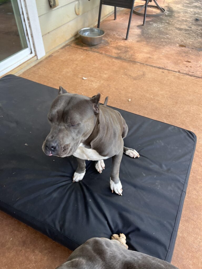 Image #1 from Leslie Ciufo