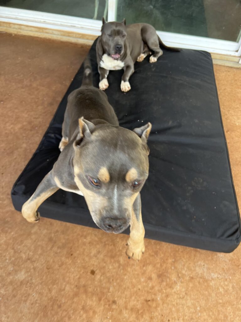 Image #2 from Leslie Ciufo