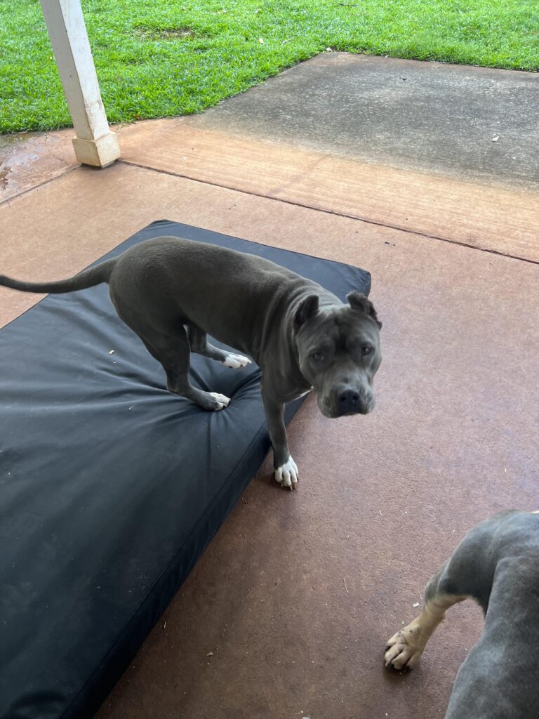 Image #3 from Leslie Ciufo