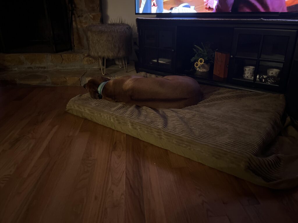 Image #1 from Deborah Williamson