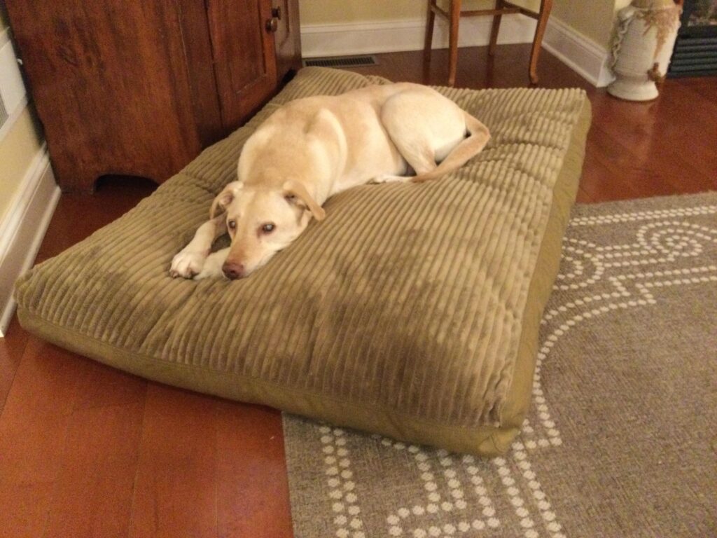 Image #1 from Judy Wilson