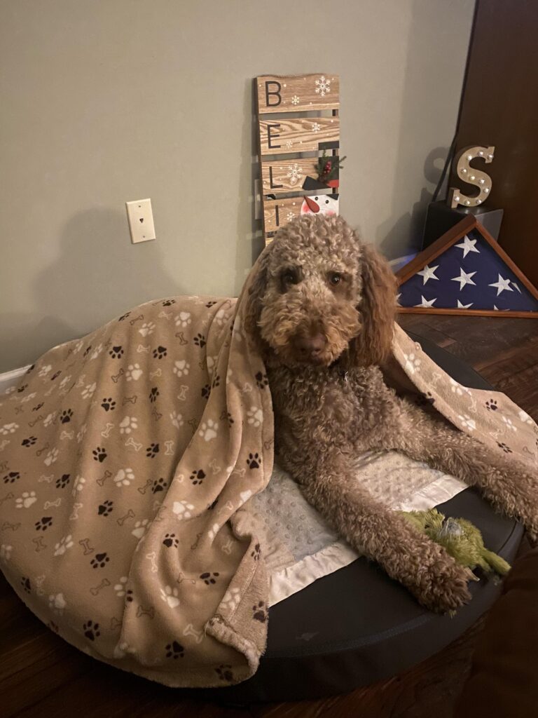 Image #1 from james smith