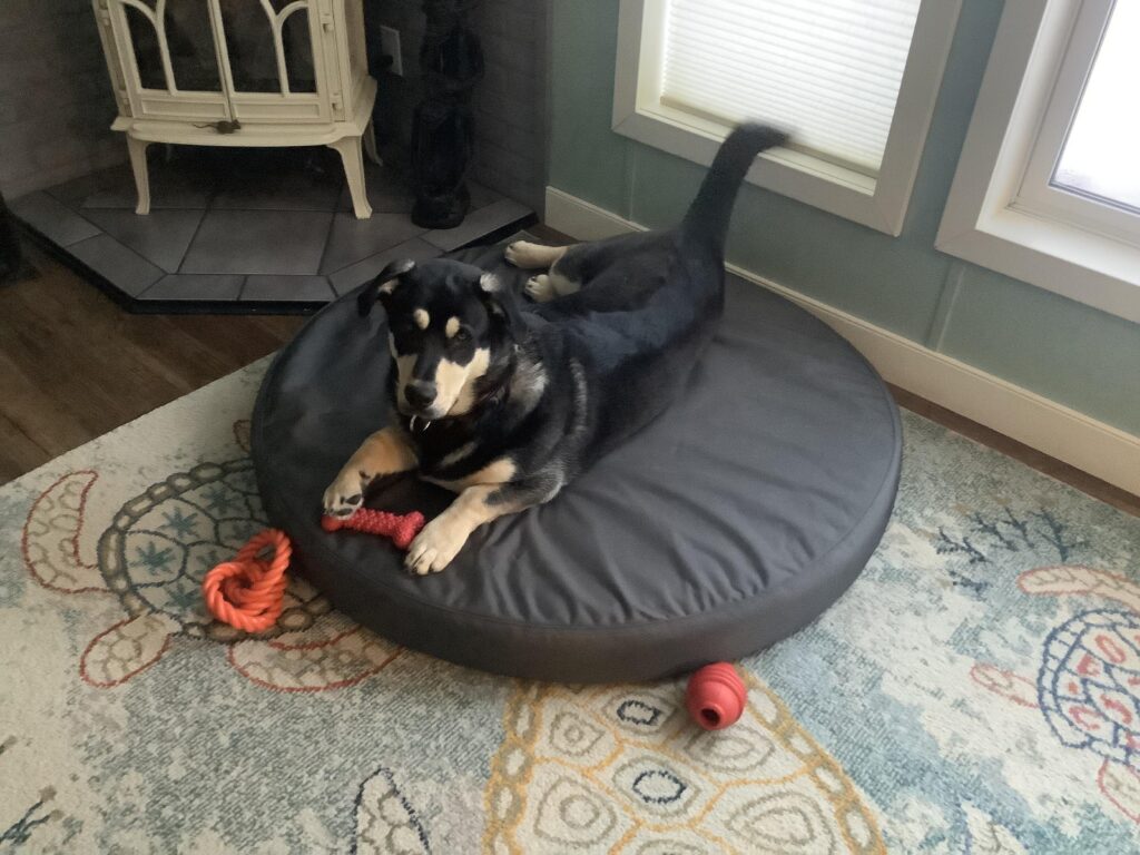 Image #1 from Tracey Powell