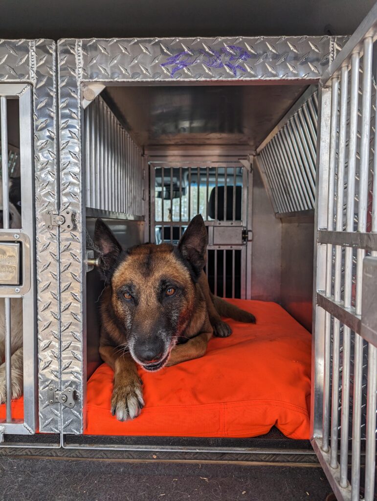 Image #4 from Joleen Runk