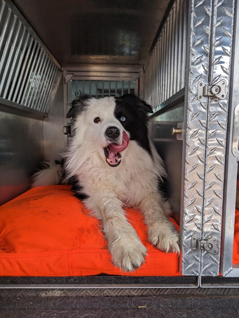 Image #3 from Joleen Runk