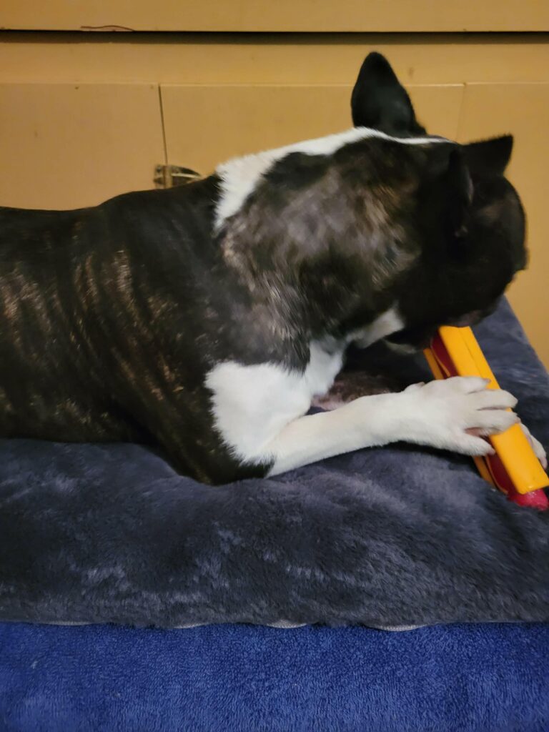 Image #1 from Michelle L. Matthews